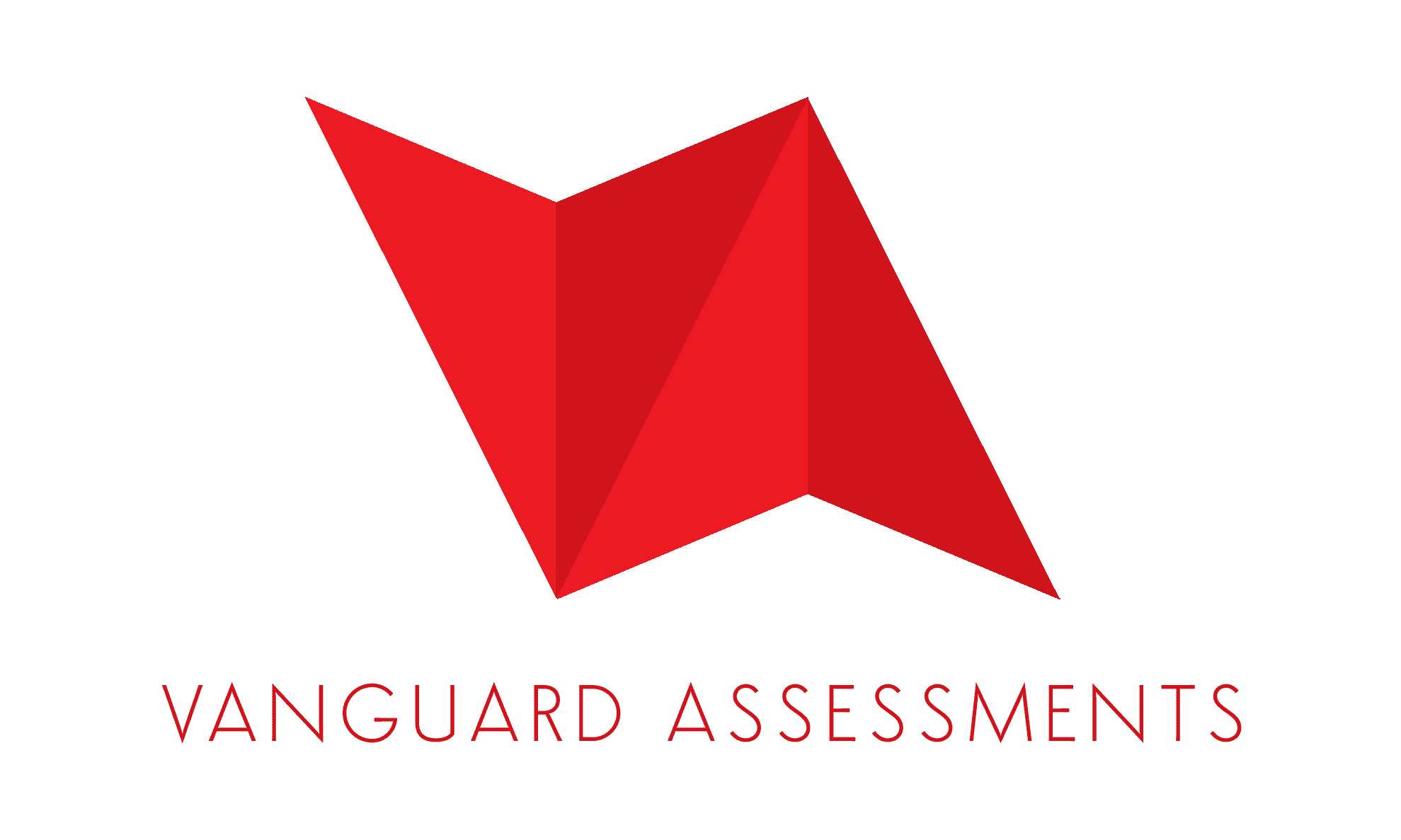 Vanguard Assesments Logo