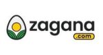 Nov23Update_ZAG-logo